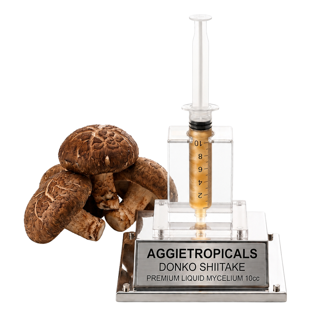 A clear acrylic and stainless steel donko shiitake mycelium injection kit by Aggietropicals, featuring a syringe-style dispenser with a gold-colored liquid chamber and a silver engraved base, shown alongside several brown shiitake mushrooms on a white background.