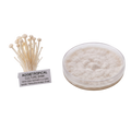 A petri dish containing white fluffy fungal mycelium next to a bundle of small beige mushroom spore pins with a label reading 'AGGJETROPICAL CULTURE BANK'.