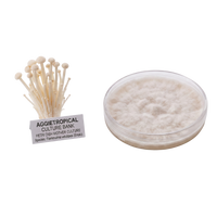 A petri dish containing white fluffy fungal mycelium next to a bundle of small beige mushroom spore pins with a label reading 'AGGJETROPICAL CULTURE BANK'.
