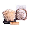 Enoki mushroom sterilized grain spawn bag