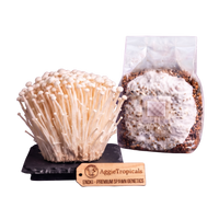 Enoki mushroom sterilized grain spawn bag