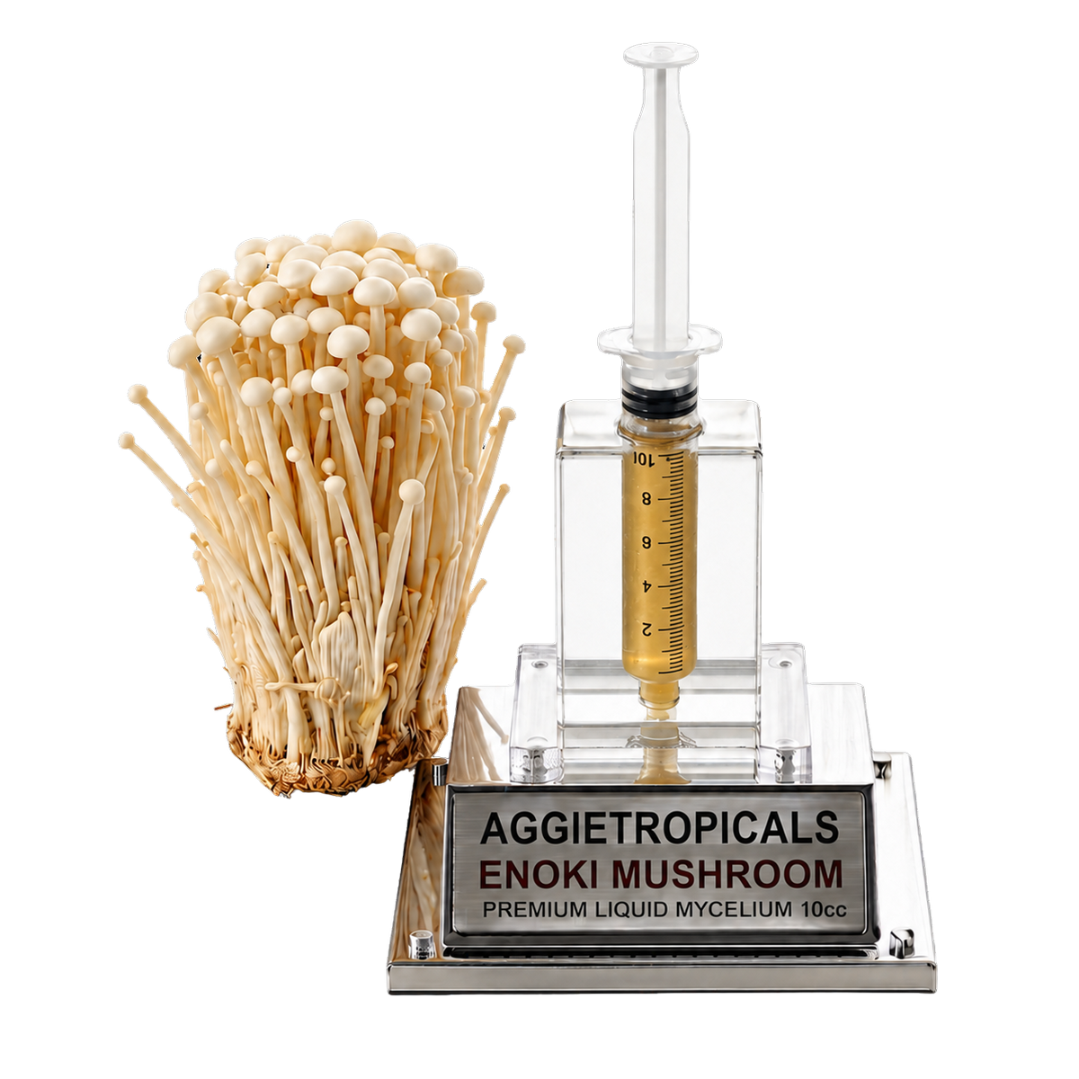A clear acrylic enoki mushroom mycelium kit by Aggietropicals, featuring a liquid culture chamber with a syringe-style measurement device and a clear glass bottle containing golden liquid, shown next to a cluster of mature beige enoki mushrooms on a silver base.