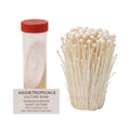 A cluster of Enoki mushrooms with long thin stems and small tan caps, beside a clear 50ml centrifuge tube containing a slanted agar culture with white mycelial growth, labeled "AGGIETROPICALS CULTURE BANK, ENOKI MUSHROOM SLANT CULTURE, 50ml Centrifuge Tube, Agar: MEA (Malt Extract Agar)", on a white background.