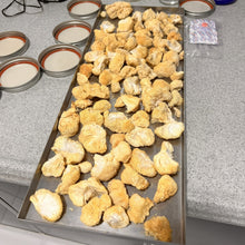 تحميل الصورة في عارض المعرض، Trays containing liondmane mushroom on a speckled countertop.
