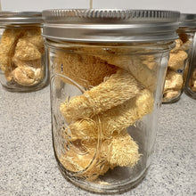 Load image into Gallery viewer, Freeze-Dried Lion's Mane Mushroom
