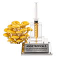A cluster of small golden oyster mushrooms displayed beside a clear acrylic and metal display stand holding a transparent syringe filled with golden liquid. The base plate is engraved with the brand name AGGietropicals and reads 'GOLDEN OYSTER MUSHROOM PREMIUM LIQUID MYCELIUM 10cc'.