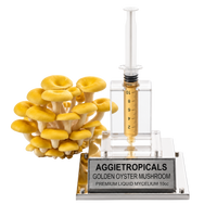 A cluster of small golden oyster mushrooms displayed beside a clear acrylic and metal display stand holding a transparent syringe filled with golden liquid. The base plate is engraved with the brand name AGGietropicals and reads 'GOLDEN OYSTER MUSHROOM PREMIUM LIQUID MYCELIUM 10cc'.