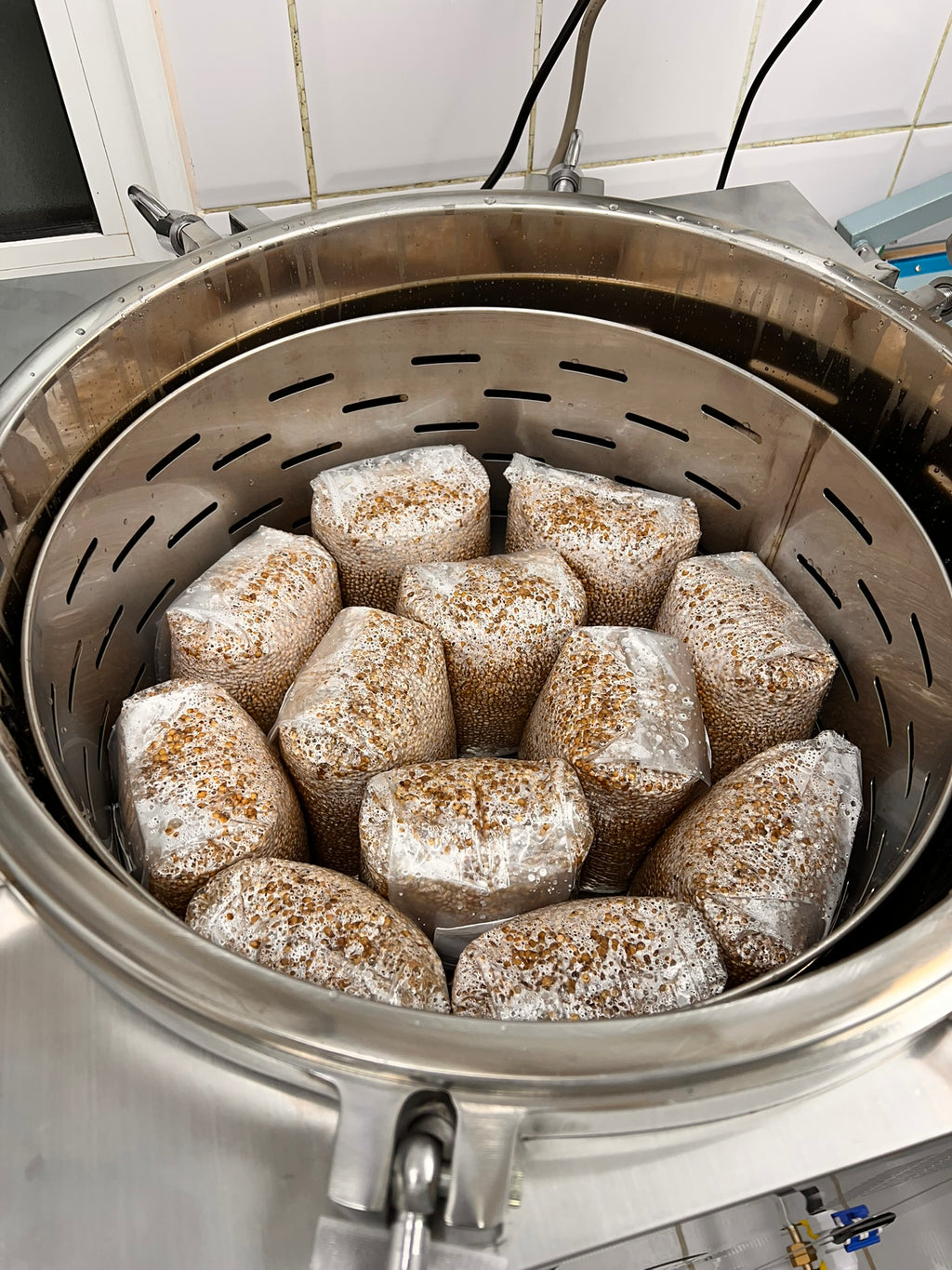Several rectangular blocks covered in white mold are placed inside a large stainless steel grower's pot or steamer basket on a countertop.