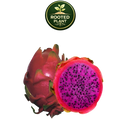 A whole and halved haleys commit dragon fruit on a white background, with a green circular 'Rooted Plant' logo above it. The fruit has a reddish-pink skin and a bright magenta-pink flesh with small black seeds.