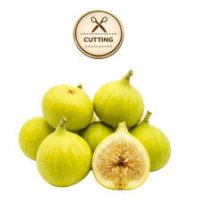 تحميل الصورة في عارض المعرض، A pile of green figs on a white background, with one fig cut in half to show the inside. A circular badge at the top reads “CUTTING” with a scissors icon.
