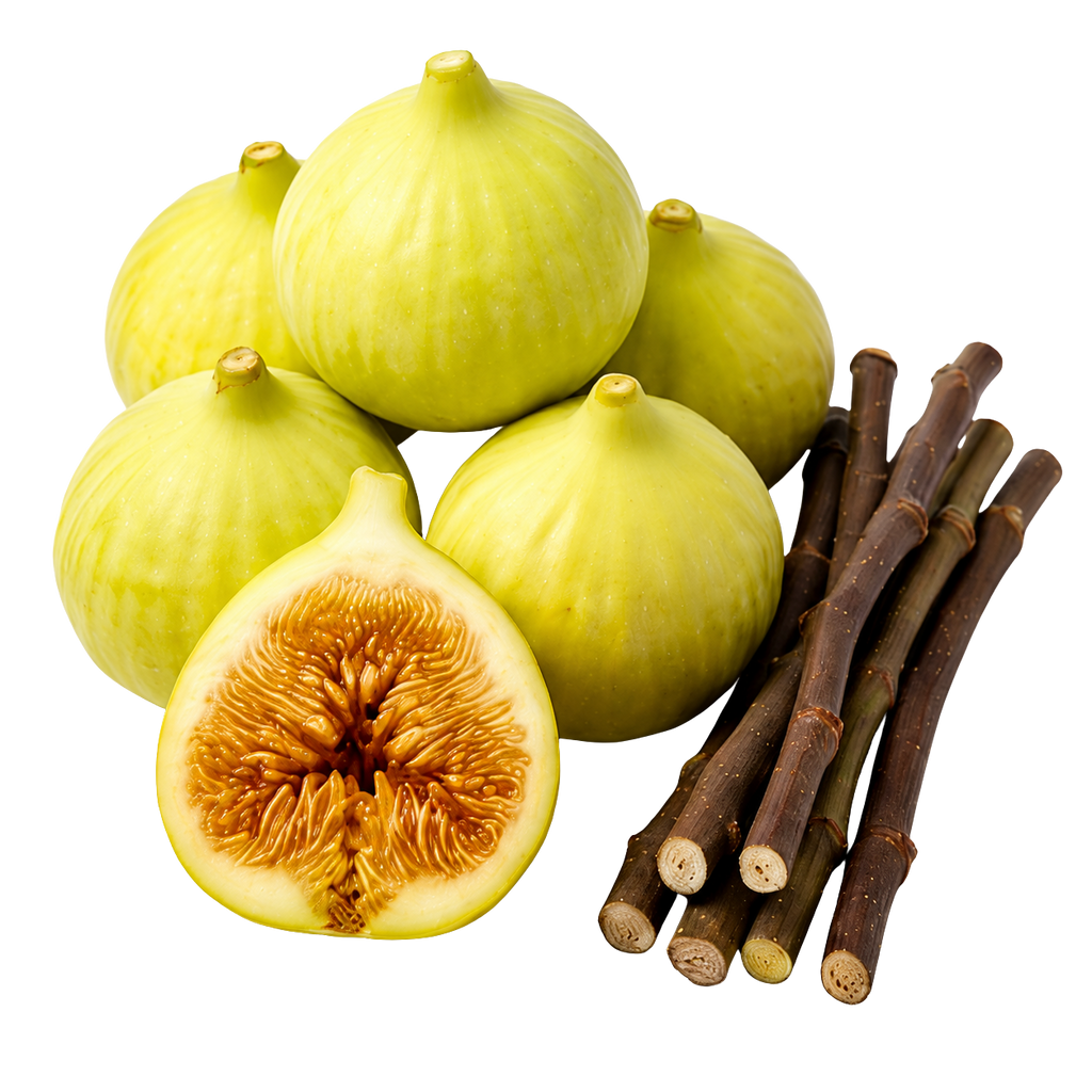Fresh green figs with one cut open to show the orange-brown interior, alongside several dark brown fig stems, isolated on a white background.