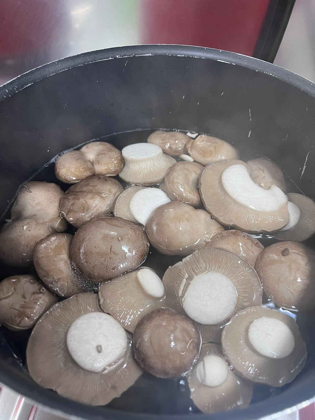 فطر المحار الملكي المعلب بالضغط