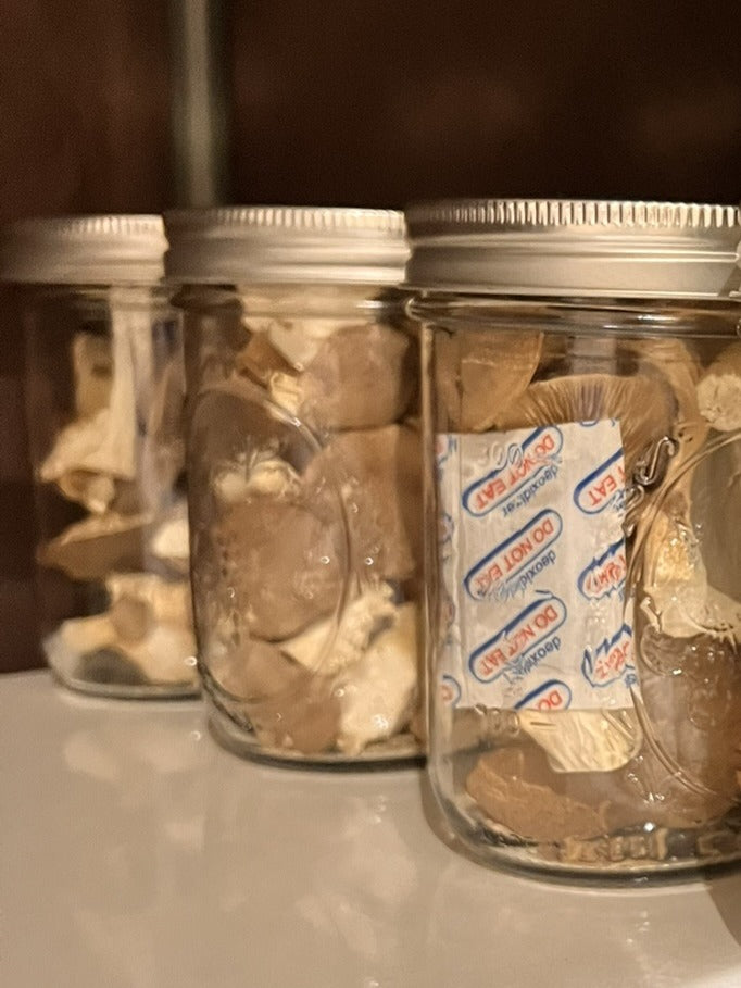 Three clear glass jars with silver metal lids, filled with dried mushrooms, arranged on a white surface against a dark brown background. A white desiccant packet is visible inside the front jar.