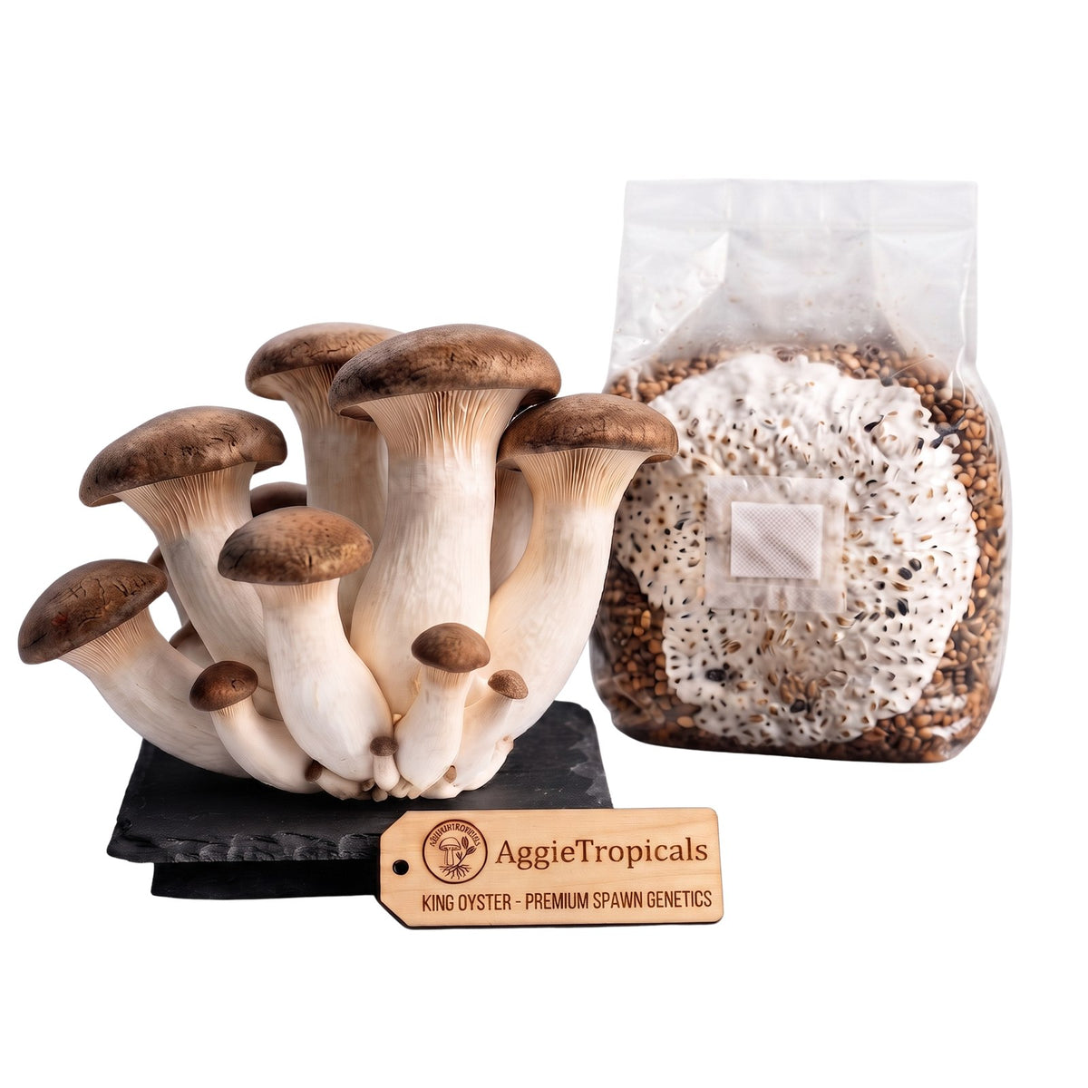A cluster of King Oyster mushrooms with thick white stems and small dark brown caps on a dark slate board, beside a clear plastic bag of grain spawn colonized with white mycelium, with a wooden tag reading "AggieTropicals, KING OYSTER - Premium Spawn Genetics", on a white background.