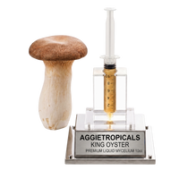 A 10cc liquid mycelium kit by Aggietropicals King Oyster, featuring a clear plastic syringe filled with golden liquid, a clear acrylic stand, and a silver metal base with a printed nameplate, shown next to a realistic King Oyster mushroom on a white background.