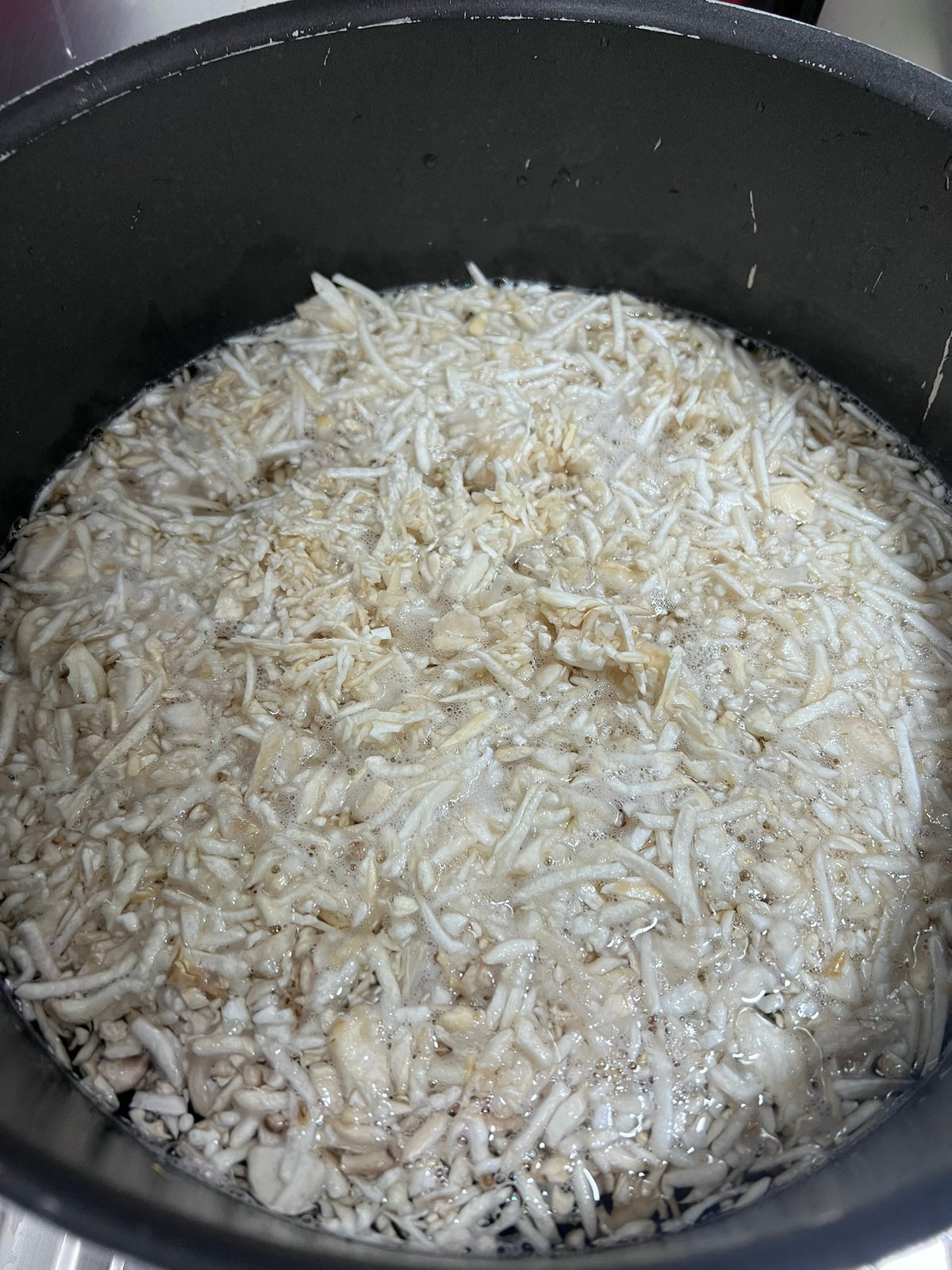 فطر المحار الملكي المعلب بالضغط
