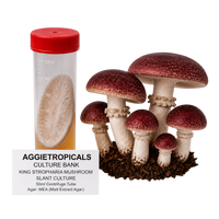 A mushroom culture product shot showing a 50ml centrifuge tube with a red cap and lid, alongside several realistic King Stropharia mushroom caps and stems growing in soil. A text label reads 'AGGIETROPICALS CULTURE BANK KING STROPHARIA MUSHROOM SLANT CULTURE 50ml Centrifuge Tube Agar: MEA (Malt Extract Agar)'.