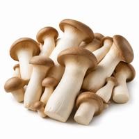 King-oyster-product-hero-image-bunched-up-on-the-table