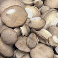King oyster cap only style