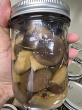Load image into Gallery viewer, A hand holding a clear glass mason jar with a silver metal lid, filled with sliced brown and pale yellow mushrooms submerged in liquid. Other jars are stacked in the background.
