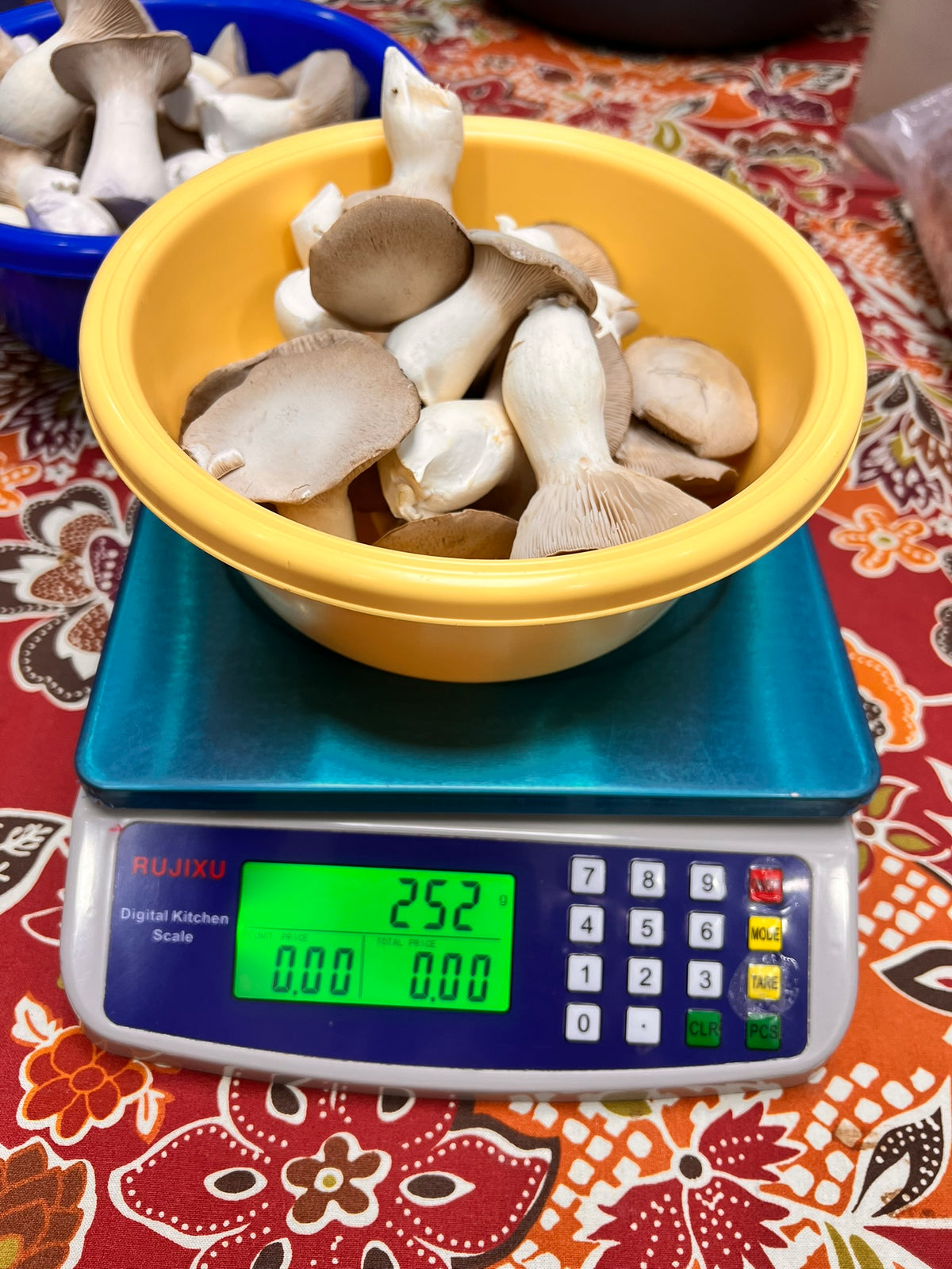 A yellow bowl filled with oyster mushrooms sits on a blue and white digital kitchen scale displaying 252 grams, placed on a patterned red and orange tablecloth.