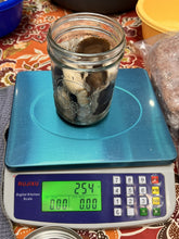 Load image into Gallery viewer, A clear glass mason jar filled with sliced mushrooms sits on a blue digital kitchen scale displaying 254 grams. The scale is placed on a patterned tablecloth with other kitchen items, including a blue bowl of mushrooms, a yellow container, and metal lids, visible around it.
