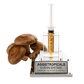 A clear acrylic and metal display stand holding a transparent syringe filled with amber liquid, with several brown shiitake mushrooms placed beside it on a white background. The front plaque reads 'AGGietROPICALS KOSHIN SHIITAKE PREMIUM LIQUID MYCELIUm 10cc'.