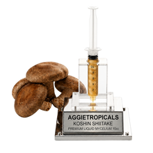 Load image into Gallery viewer, A clear acrylic and metal display stand holding a transparent syringe filled with amber liquid, with several brown shiitake mushrooms placed beside it on a white background. The front plaque reads 'AGGietROPICALS KOSHIN SHIITAKE PREMIUM LIQUID MYCELIUm 10cc'.
