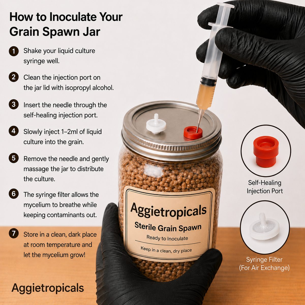 Instruction graphic for inoculating grain spawn jars, showing a step-by-step guide on the left and a photo of a gloved hand injecting a liquid culture into a clear glass jar filled with tan grains on the right.