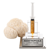 تحميل الصورة في عارض المعرض، A lion's mane gummies product display featuring a clear plastic syringe filled with golden amber liquid mounted on a clear acrylic stand with a silver base labeled 'AGGietropicals LION'S MANE PREMIUM LIQUID MYCELIUM 10cc'. A large beige lion's mane mushroom is positioned to the left of the stand against a solid white background.
