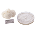 A white, fibrous mushroom cluster shown next to a clear plastic petri dish containing a white mycelial mat, with a label reading 'AGGIETROPICAL CULTURE BANK'.