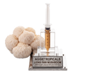 A lion's paw mushroom liquid mycelium kit by Aggietropicals, featuring a cluster of beige lion's paw mushrooms next to a clear syringe filled with golden-brown liquid and mounted on a silver metal base with a clear acrylic cover.