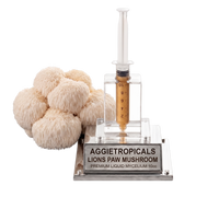 A lion's paw mushroom liquid mycelium kit by Aggietropicals, featuring a cluster of beige lion's paw mushrooms next to a clear syringe filled with golden-brown liquid and mounted on a silver metal base with a clear acrylic cover.