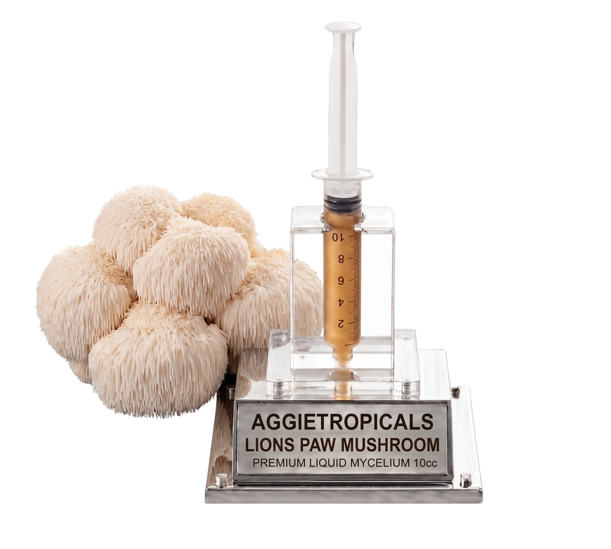 A lion's paw mushroom liquid mycelium kit by Aggietropicals, featuring a cluster of beige lion's paw mushrooms next to a clear syringe filled with golden-brown liquid and mounted on a silver metal base with a clear acrylic cover.