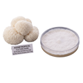 Two views of a petri dish containing a white, hairy mushroom culture, Lions Paw, alongside several small, fluffy off-white mushroom heads and a label reading 'AGGietROPICAL CULTURE BANK'.