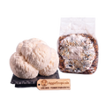 A cluster of lion mane mushrooms next to a clear plastic bag containing a substrate mix, with a wooden brand tag reading AggieTropicals, on a white background.