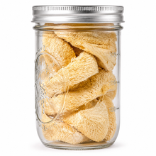 تحميل الصورة في عارض المعرض، A clear glass jar with a silver metal screw-top lid, filled with dried, lionsmane photographed on a plain white background.
