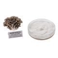A mushroom culture kit showing a cluster of brownish-gray gilled mushrooms next to a clear plastic petri dish filled with white mycelium, with a label reading 'AGGietROPICAL CULTURE BANK'.
