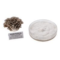 A mushroom culture kit showing a cluster of brownish-gray gilled mushrooms next to a clear plastic petri dish filled with white mycelium, with a label reading 'AGGietROPICAL CULTURE BANK'.