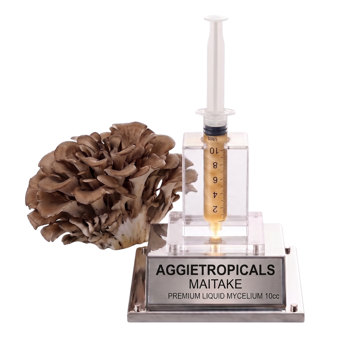 A 10g liquid mycelium spawn kit by Aggietropicals Maitake, featuring a Maitake mushroom, a clear plastic syringe filled with golden-brown liquid, and a clear acrylic stand with a silver metal base.