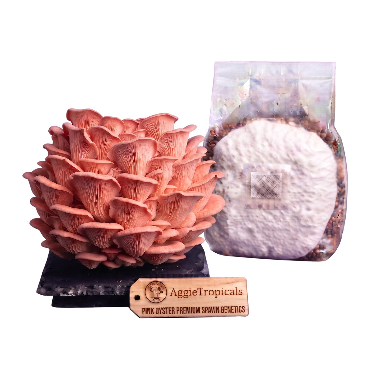 A dense cluster of Pink Oyster mushrooms with vivid pink fan-shaped caps on a dark slate board, beside a clear plastic bag of grain spawn colonized with white mycelium, with a wooden tag reading "AggieTropicals, PINK OYSTER - Premium Spawn Genetics", on a white background.