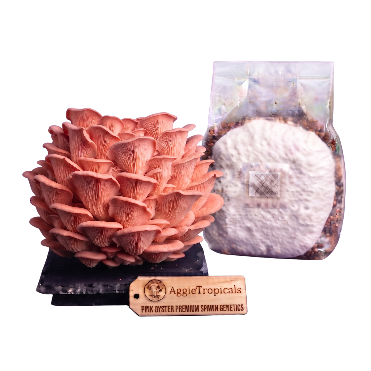 A pink oyster mushroom culture kit showing a large pinkish-orange mushroom cluster on a black base, a clear bag containing white spawn powder and substrate, and a wooden AggieTropicals brand tag, all on a plain white background.