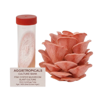 A pink oyster mushroom slant culture kit by AggiTropicals, showing a clear 50ml centrifuge tube with a red cap containing the culture, alongside a realistic pink oyster mushroom and a label card.