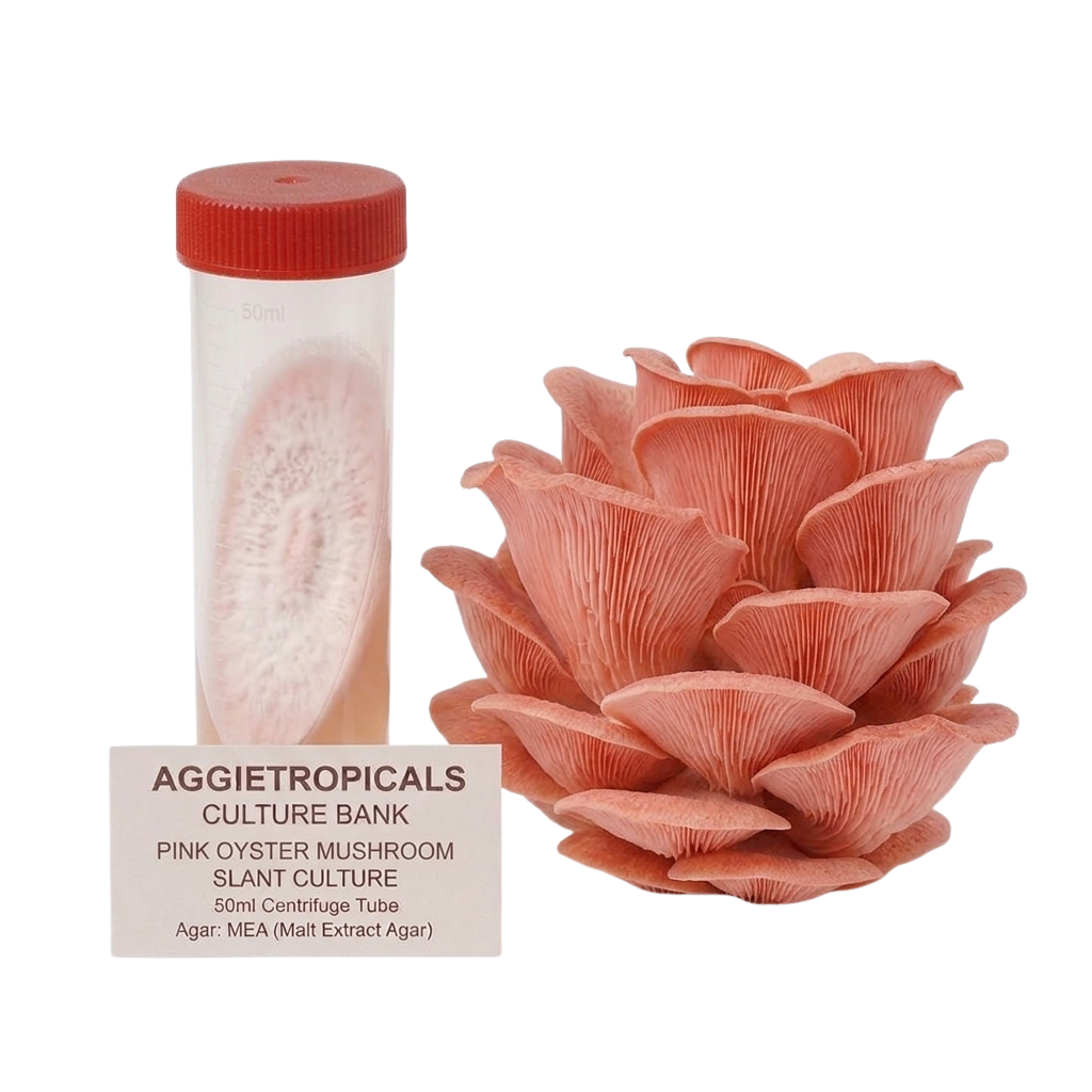 A pink oyster mushroom slant culture kit by AggiTropicals, showing a clear 50ml centrifuge tube with a red cap containing the culture, alongside a realistic pink oyster mushroom and a label card.