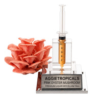 A dense cluster of Pink Oyster mushrooms with vivid pink fan-shaped caps, beside a syringe filled with liquid mycelium culture mounted on a mirrored stand, labeled "AGGIETROPICALS, PINK OYSTER, PREMIUM LIQUID MYCELIUM 10cc", on a white background.