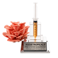 A clear acrylic and metal plaque featuring a pink oyster mushroom cluster next to a syringe-style container filled with golden liquid, with a silver base engraved 'AGGJETROPICALS PINK OYSTER MUSHROOM PREMIUM LIQUID MYCELIUM 10CC'.