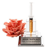 A clear acrylic and metal plaque featuring a pink oyster mushroom cluster next to a syringe-style container filled with golden liquid, with a silver base engraved 'AGGJETROPICALS PINK OYSTER MUSHROOM PREMIUM LIQUID MYCELIUM 10CC'.
