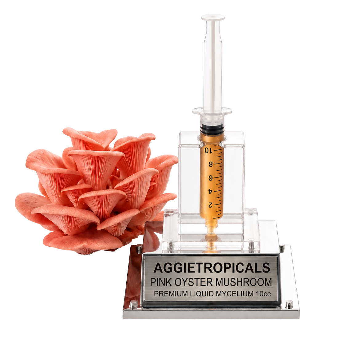 A clear acrylic and metal plaque featuring a pink oyster mushroom cluster next to a syringe-style container filled with golden liquid, with a silver base engraved 'AGGJETROPICALS PINK OYSTER MUSHROOM PREMIUM LIQUID MYCELIUM 10CC'.