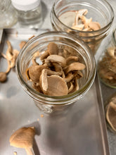 Load image into Gallery viewer, Freeze-Dried Pioppino Mushroom
