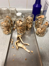 Load image into Gallery viewer, Freeze-Dried Pioppino Mushroom
